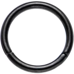 Gaby 16 Gauge 5/16 Black PVD Hinged Segment Ring