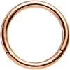 Gaby 16 Gauge 5/16 Rose Gold Tone Hinged Segment Ring