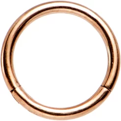 Gaby 16 Gauge 5/16 Rose Gold Tone Hinged Segment Ring