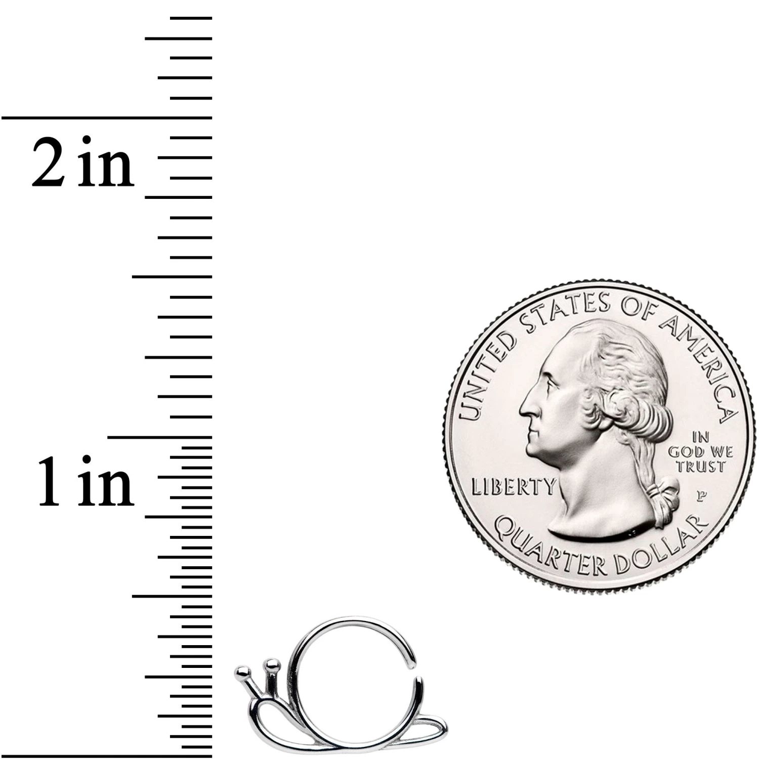 18 Gauge The Travelling Snail Closure Ring 2 18 Gauge The Travelling Snail Closure Ring - Image 2