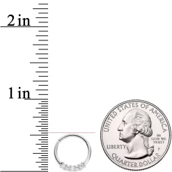 16 Gauge 3/8 Clear CZ Gem Quartet Hinged Segment Ring -Body Jewelry Store 65630.otherimage2