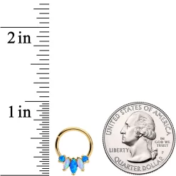 16 Gauge 3/8 Blue White Synthetic Opal Gold Tone Hinged Segment Ring 5 16 Gauge 3/8 Blue White Synthetic Opal Gold Tone Hinged Segment Ring -Body Jewelry Store 65761.otherimage2
