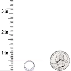 16 Gauge 3/8 White Synthetic Opal Crest Hinged Segment Ring -Body Jewelry Store 65832.otherimage2