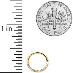 16 Gauge 5/16 Clear Gem Gold Tone Simple Elegance Seamless Circular Ring 5 16 Gauge 5/16 Clear Gem Gold Tone Simple Elegance Seamless Circular Ring -Body Jewelry Store 67006.otherimage1