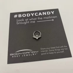 16 Gauge 3/8 Clear Gem Vampire Bat Halloween Hinged Segment Ring -Body Jewelry Store 67923 1 scaled