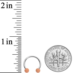 16 Gauge 3/8 Brown Tan Matte Horseshoe Circular Barbell Set Of 4 -Body Jewelry Store 68317.otherimage3