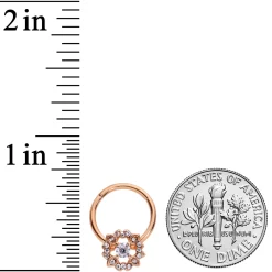 16 Gauge3/8 Clear Gem Rose Gold Tone Wreath Hinged Segment Ring -Body Jewelry Store 68398.otherimage2
