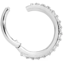 16 Gauge 5/16 Clear CZ Gem Stainless Steel Hinged Segment Ring -Body Jewelry Store 68829.otherimage2