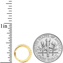 16 Gauge 5/16 Clear CZ Gem Gold Tone Hinged Segment Ring -Body Jewelry Store 68830.otherimage3