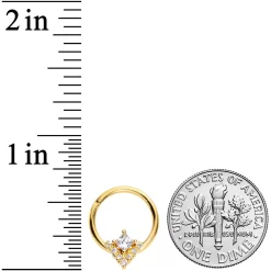 16 Gauge 3/8 Clear CZ Gem Gold Tone Vivid Vee Hinged Segment Ring -Body Jewelry Store 69085.otherimage2