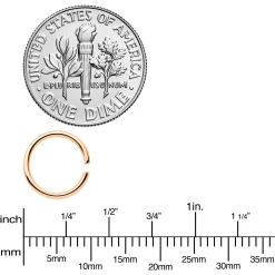 18 Gauge 5/16 Rose Gold Tone Anodized Seamless Circular Ring Set Of 12 -Body Jewelry Store 69948.otherimage2