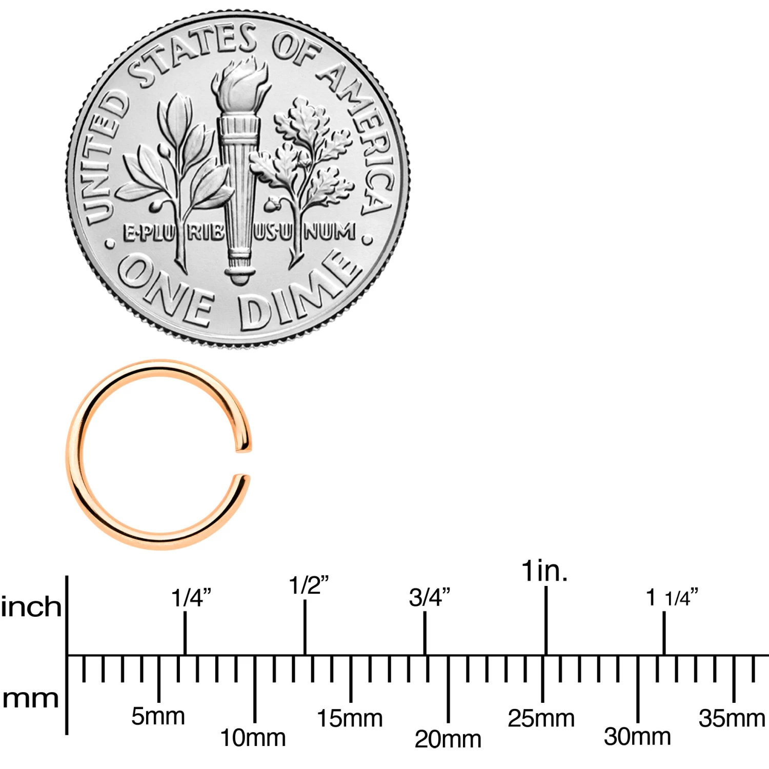 18 Gauge 5/16 Steel Rose Gold Tone Anodized Seamless Circular Ring Set Of 12 3 18 Gauge 5/16 Steel Rose Gold Tone Anodized Seamless Circular Ring Set Of 12 - Image 3