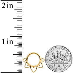 16 Gauge 5/16 Gold Tone Open Petal Flower Hinged Segment Ring 5 16 Gauge 5/16 Gold Tone Open Petal Flower Hinged Segment Ring -Body Jewelry Store 71327 GD.otherimage2