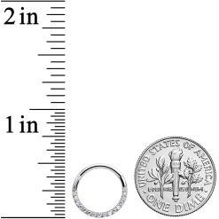 16 Gauge 3/8 Aurora Gem Paved Elegance Hinged Segment Ring -Body Jewelry Store 71333.otherimage2