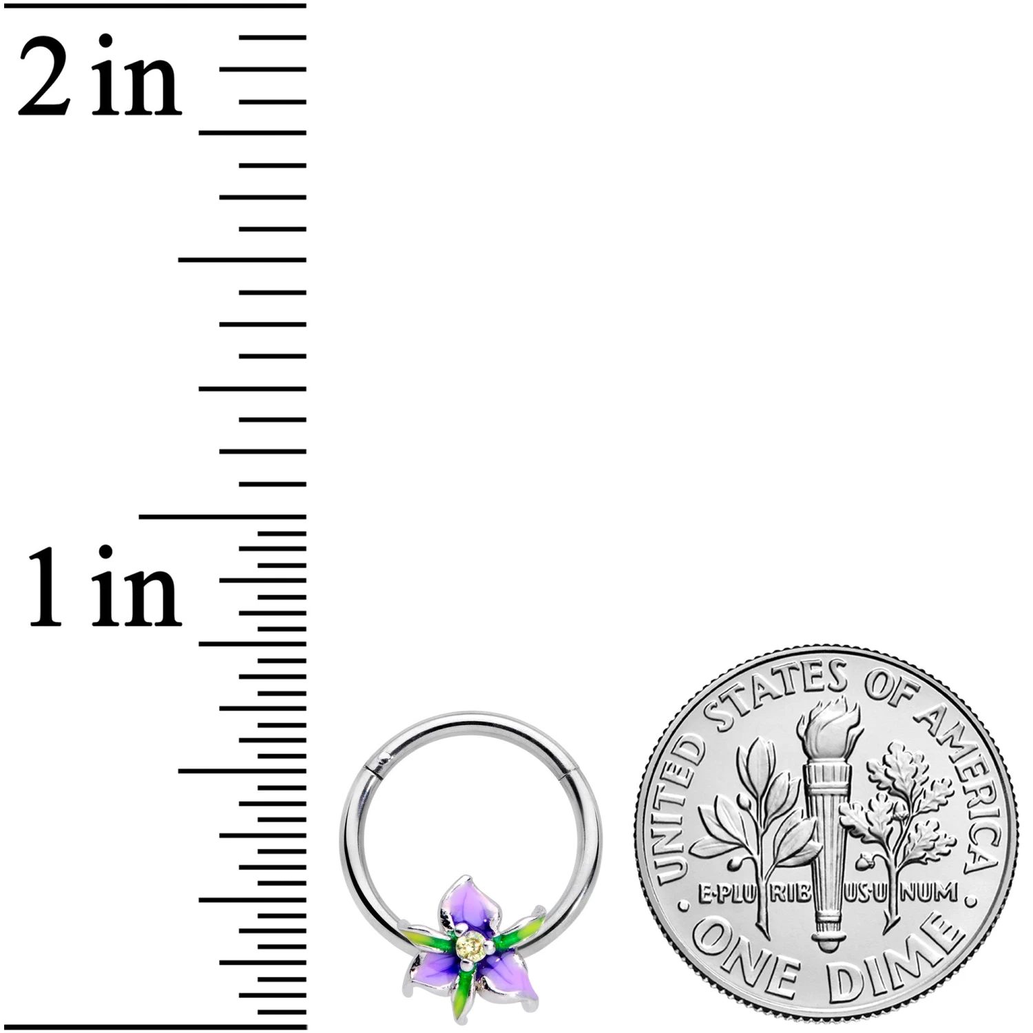16 Gauge 3/8 Clear Gem Purple Iris Flower Hinged Segment Ring 3 16 Gauge 3/8 Clear Gem Purple Iris Flower Hinged Segment Ring - Image 3