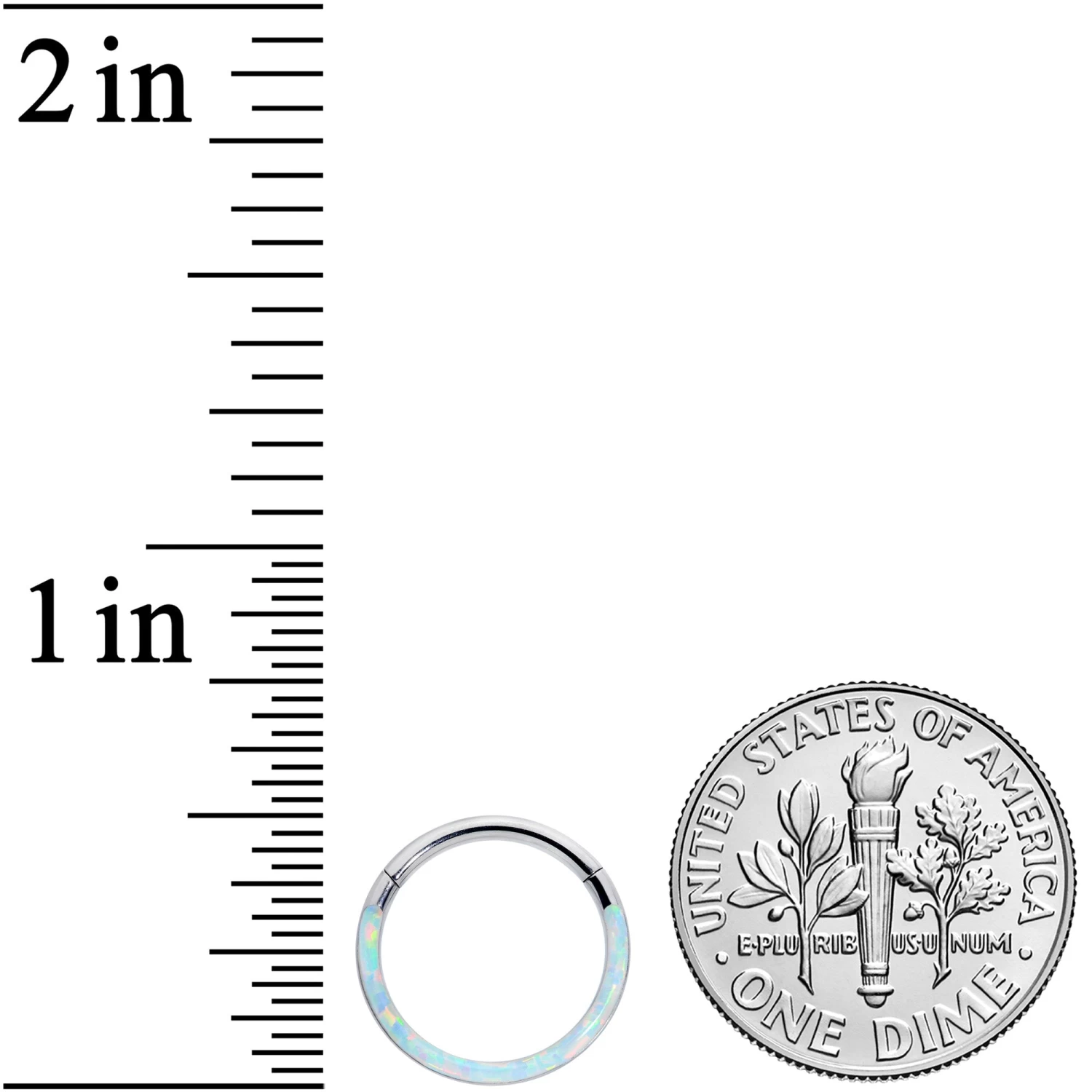 16 Gauge 3/8 White Synthetic Opal Implant Grade Titanium Segment Ring 3 16 Gauge 3/8 White Synthetic Opal Implant Grade Titanium Segment Ring - Image 3