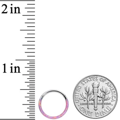 16 Gauge 3/8 Pink Synthetic Opal Implant Grade Titanium Segment Ring -Body Jewelry Store 72655.otherimage2