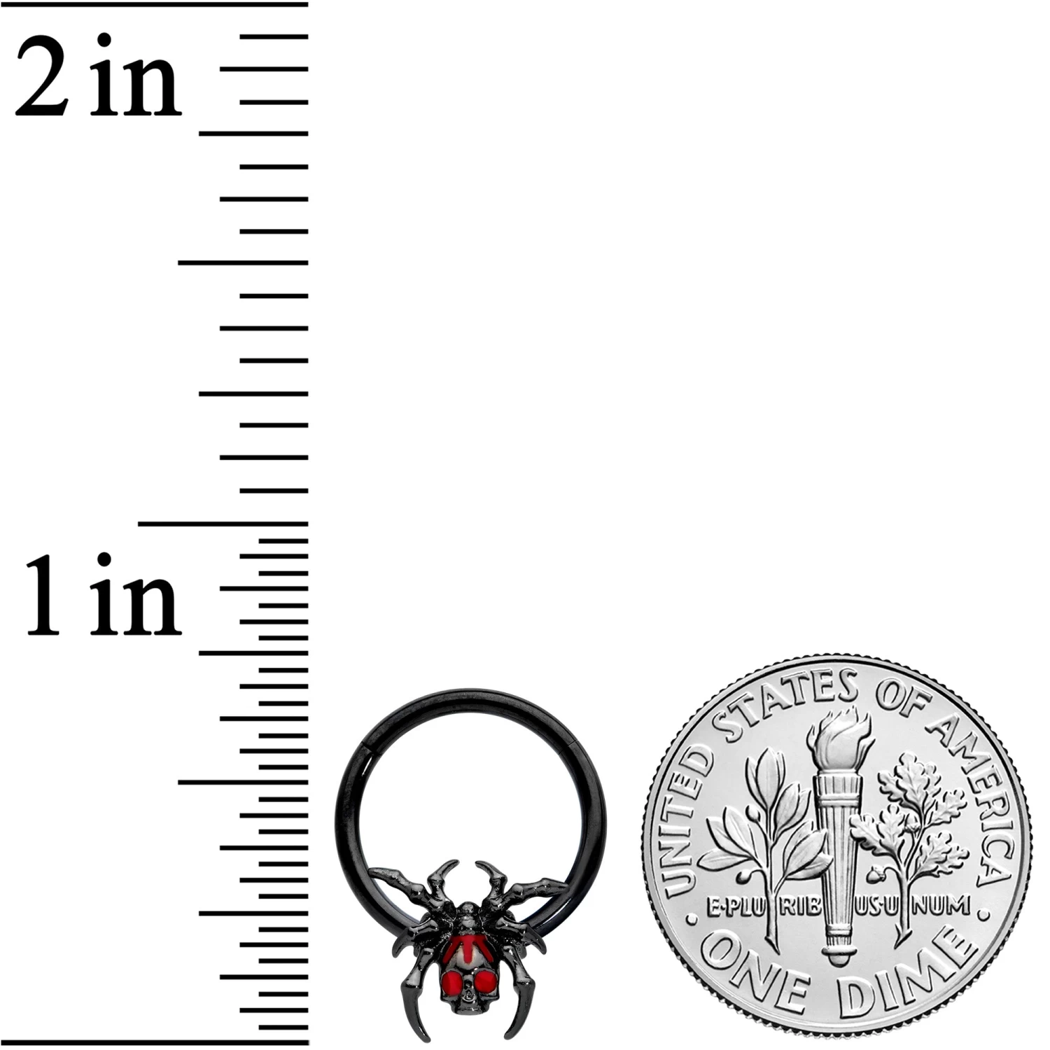 16 Gauge 3/8 Red Gem Black Spider Skull Halloween Hinged Segment Ring 3 16 Gauge 3/8 Red Gem Black Spider Skull Halloween Hinged Segment Ring - Image 3