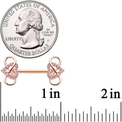 14 Gauge 1/2 Clear CZ Gem Rose Gold Hue Infinity Heart Nipple Ring Set -Body Jewelry Store 73405.otherimage2