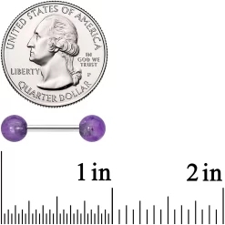 14 Gauge 1/2 Elegant Purple Amethyst Barbell Nipple Ring Set -Body Jewelry Store 73580 PP.otherimage2