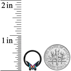 Gaby 16 Gauge 3/8 Black Sunset Butterfly Hinged Segment Ring -Body Jewelry Store 73916.otherimage2