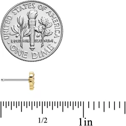 20 Gauge 1/4 Aurora Gem Baroque Golden Heart Nose Bone -Body Jewelry Store 74357.otherimage3