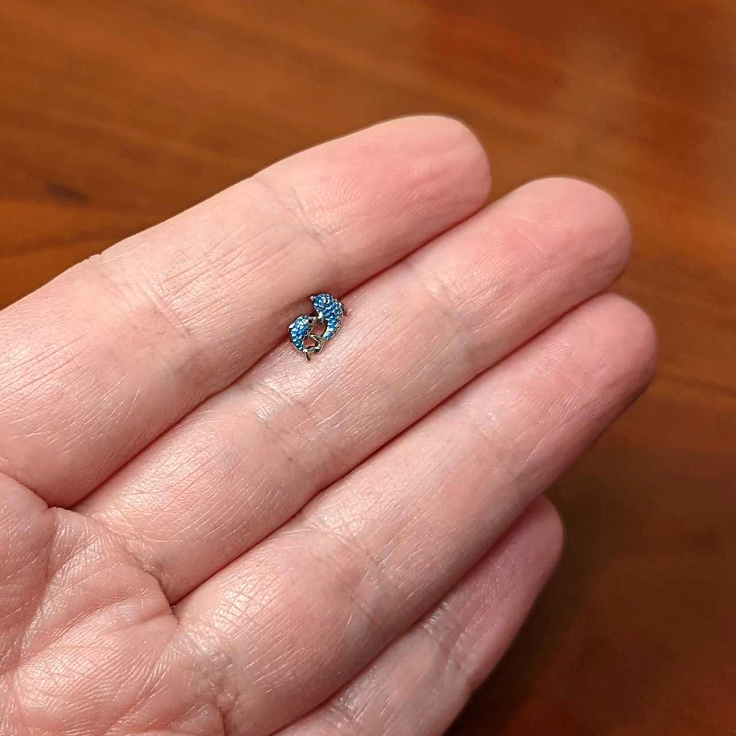 16 Gauge 1/4 Black Gem Blue Leaping Dolphins Cartilage Tragus Earring 5 16 Gauge 1/4 Black Gem Blue Leaping Dolphins Cartilage Tragus Earring - Image 5