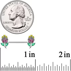 Gaby 14 Gauge 9/16 Green Pink Gem Mardi Gras Flower Barbell Nipple Ring Set 6 Gaby 14 Gauge 9/16 Green Pink Gem Mardi Gras Flower Barbell Nipple Ring Set -Body Jewelry Store 74996.otherimage2