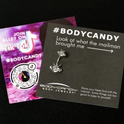 Clear Gem Bees Beautiful Insect Double Mount Belly Ring 11 Clear Gem Bees Beautiful Insect Double Mount Belly Ring -Body Jewelry Store 75505 CL.otherimage3