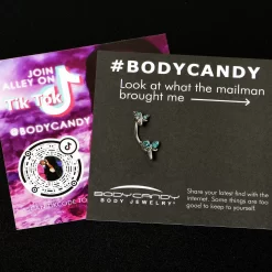 Blue Gem Simple Stylized Dragonfly Double Mount Belly Ring 11 Blue Gem Simple Stylized Dragonfly Double Mount Belly Ring -Body Jewelry Store 75506 AQ.otherimage3