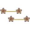 14 Gauge 9/16 Pink Gem Gold Tone Texture Star Barbell Nipple Ring Set