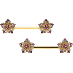 14 Gauge 9/16 Pink Gem Gold Tone Texture Star Barbell Nipple Ring Set