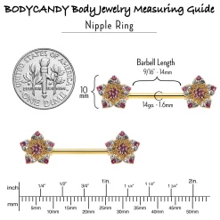 14 Gauge 9/16 Pink Gem Gold Tone Texture Star Barbell Nipple Ring Set 14 14 Gauge 9/16 Pink Gem Gold Tone Texture Star Barbell Nipple Ring Set -Body Jewelry Store 75839.otherimage6