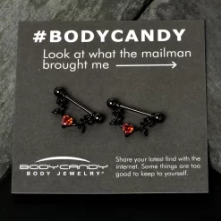 Gaby 14 Gauge 11/16 Red CZ Gem Black Heart Flower Dangle Nipple Ring Set 17 Gaby 14 Gauge 11/16 Red CZ Gem Black Heart Flower Dangle Nipple Ring Set -Body Jewelry Store 76086.otherimage7