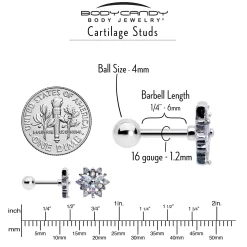 16 Gauge 1/4 Aurora CZ Gem Snowflake Style Cartilage Tragus Earring -Body Jewelry Store 76404.otherimage4 66777baf a7e7 4dff b074 0c8ece4b269a