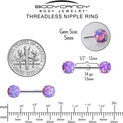 14 Gauge 1/2 Purple Synthetic Opal Threadless Barbell Nipple Ring Set -Body Jewelry Store 76685 PP.otherimage5 f3bd5872 8305 44ad 8a0d 1d323bff482d