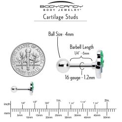 Gaby 16 Gauge 1/4 Aurora Gem Beach Heart Palm Tree Cartilage Tragus Earring 12 Gaby 16 Gauge 1/4 Aurora Gem Beach Heart Palm Tree Cartilage Tragus Earring -Body Jewelry Store 76931.otherimage4