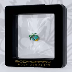 Gaby 16 Gauge 1/4 Aurora Gem Beach Heart Palm Tree Cartilage Tragus Earring 15 Gaby 16 Gauge 1/4 Aurora Gem Beach Heart Palm Tree Cartilage Tragus Earring -Body Jewelry Store 76931.otherimage7