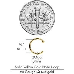 20 Gauge 1/4 14kt Solid Yellow Gold Nose Hoop 19 20 Gauge 1/4 14kt Solid Yellow Gold Nose Hoop -Body Jewelry Store G 2994.otherimage6