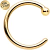 20 Gauge 1/4 18k Yellow Gold Nose Hoop