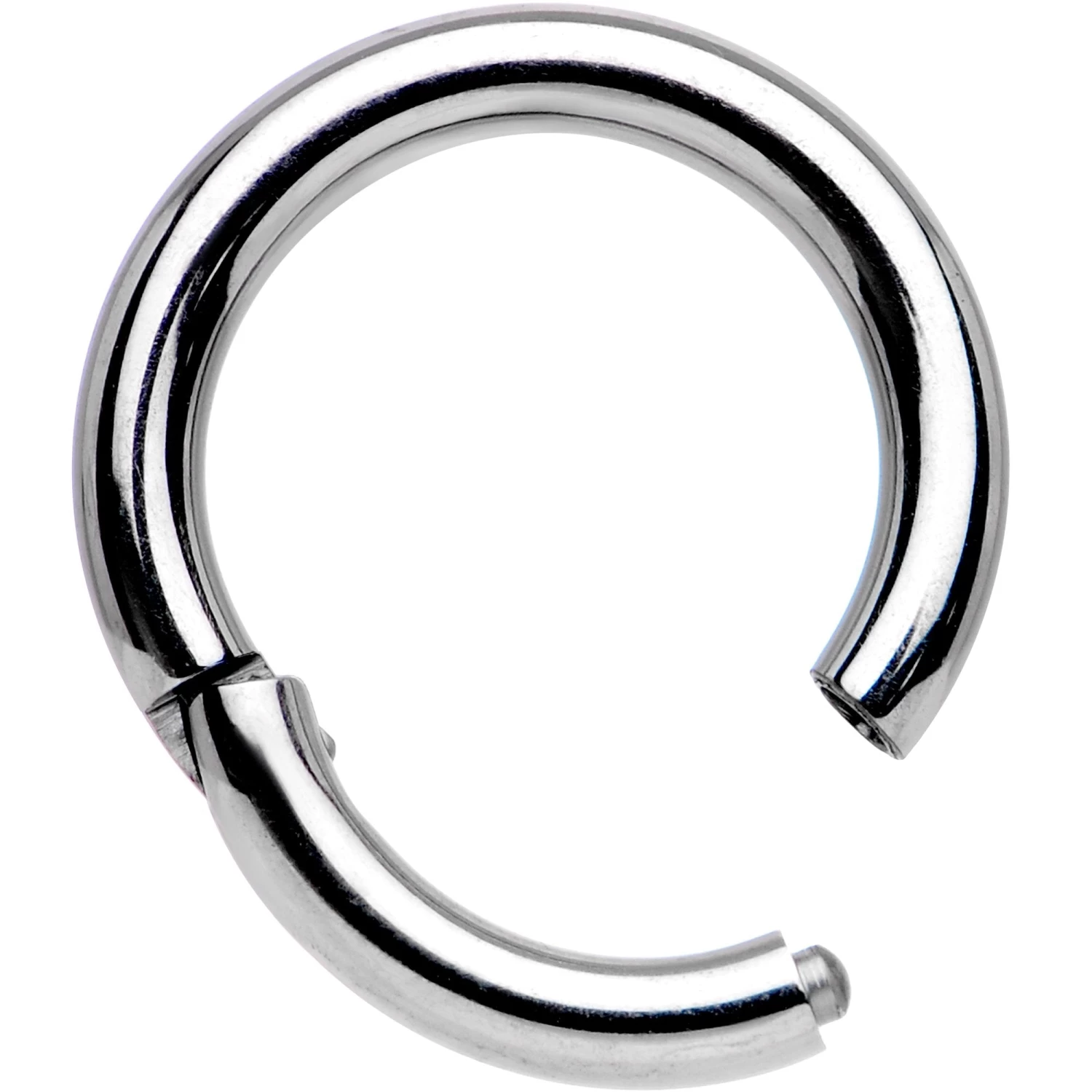 14 Gauge 5/16 Solid G23 Implant Grade Titanium Hinged Segment Ring 2 14 Gauge 5/16 Solid G23 Implant Grade Titanium Hinged Segment Ring - Image 2